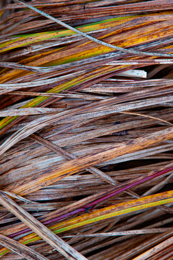 Fabric of Nature, along Donau, 2024