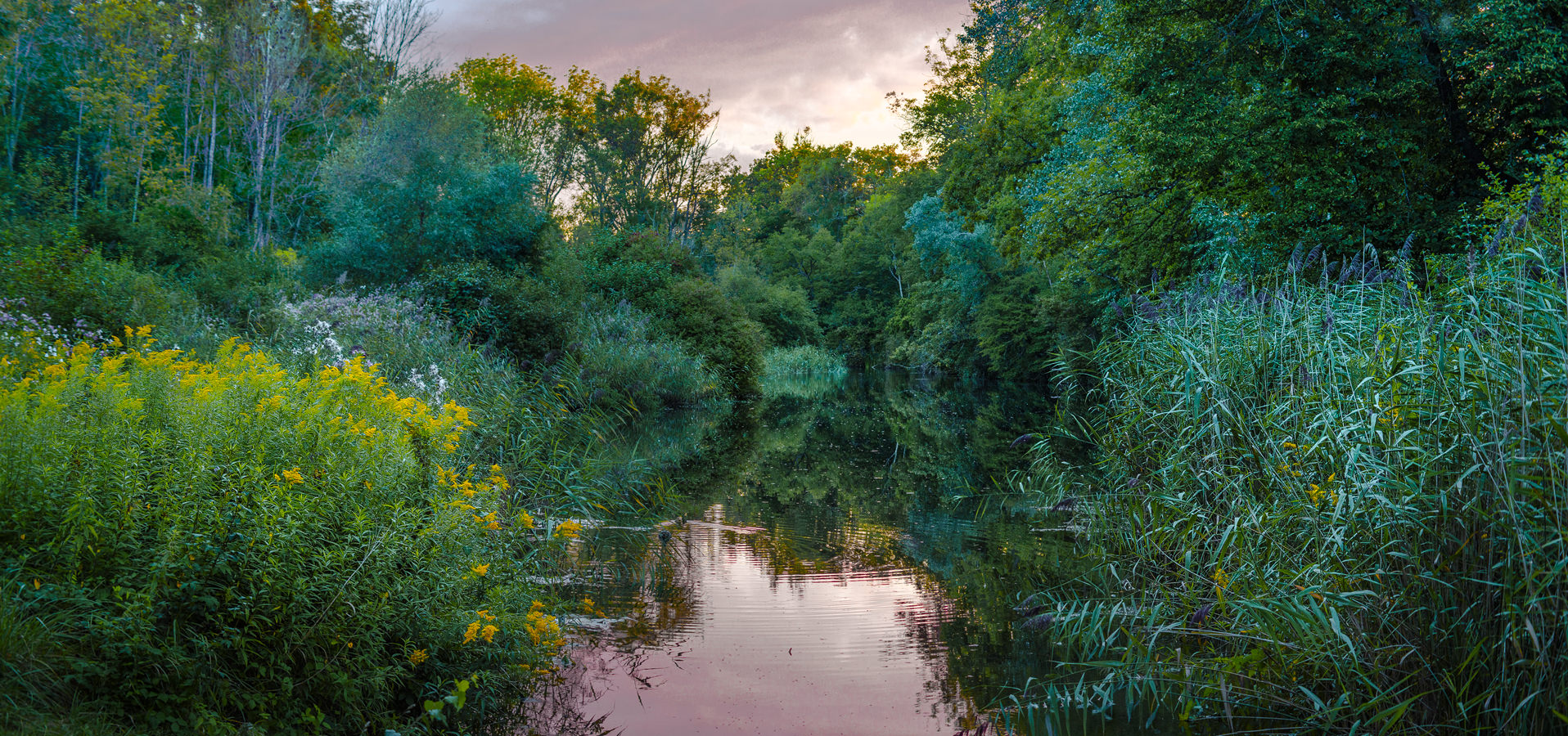 Shades of Green, Baggersee Ingolstadt, 2023